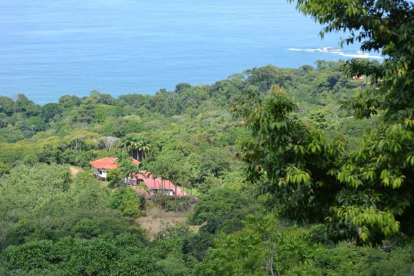 Drone shot Set on 250 Acres in Costa Rica