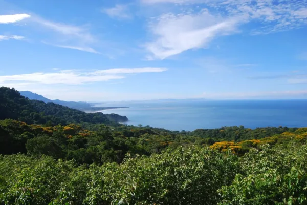 view Panoramic Views from the Villa