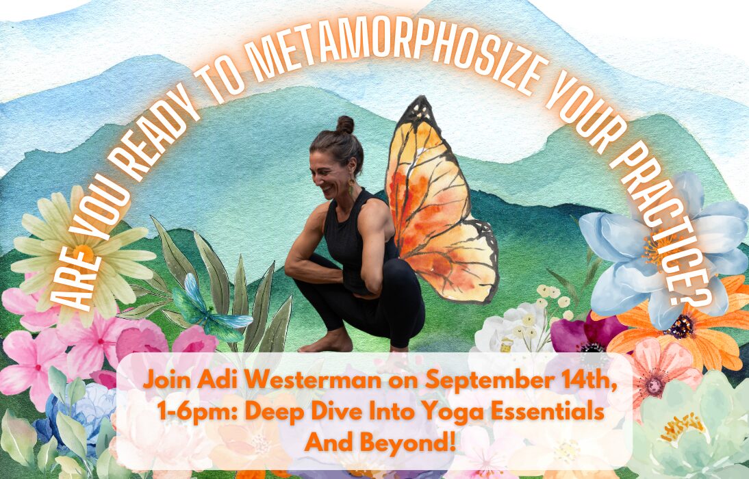 adi westerman yoga workshop